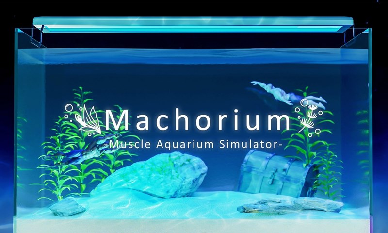 ไปดูปลาห้องเรามั้ย Machorium – Muscle Aquarium Simulator ชวนสร้างพิพิธภัณฑ์สัตว์น้ำส่วนตัว