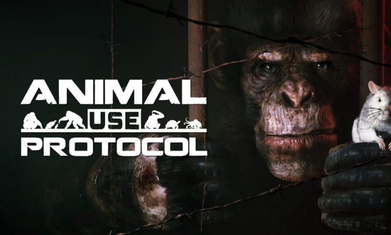 อีกสองปีเจอกัน Animal Use Protocol เกมเอาตัวรอดของสัตว์โลก